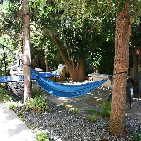 B&B Al Vecchio Glicine Торе Кане Екстериор снимка