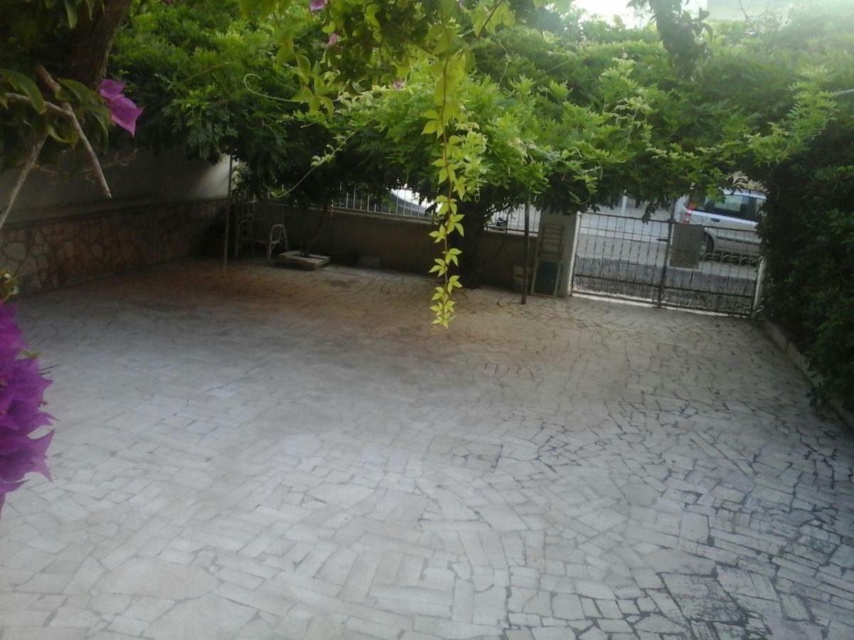 B&B Al Vecchio Glicine Торе Кане Екстериор снимка